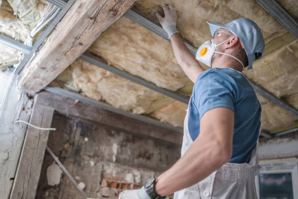 Best Insulation Maintenance and Repair in Fairview, NJ